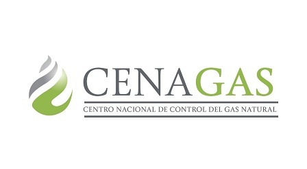 Logo CENAGAS